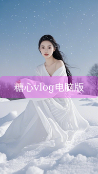 《糖心vlog电脑版》图片详情